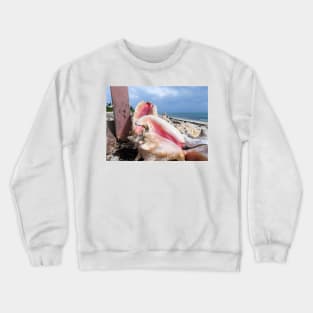 shell Crewneck Sweatshirt